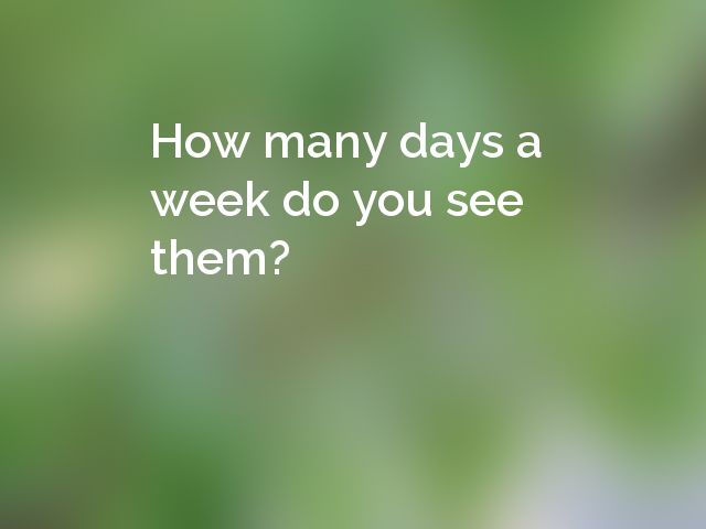 How many days a week do you see them?