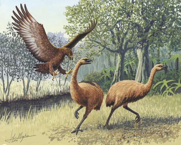 The Stymphalian Birds