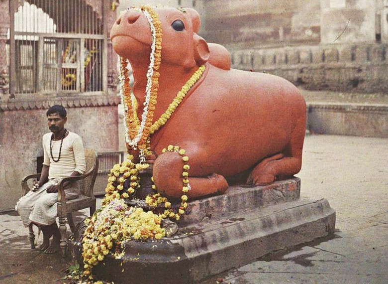 Statue Of The Shiva's Bull, Nandi, In India, 1914