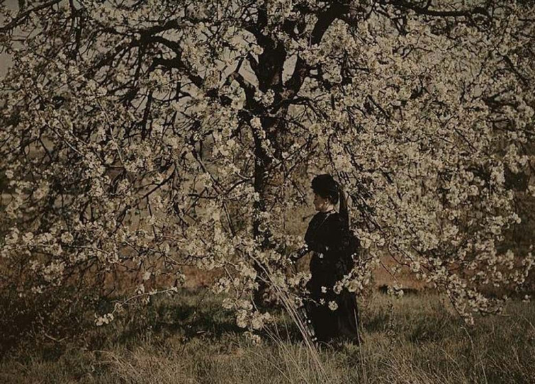 Admiring Flowers, 1905