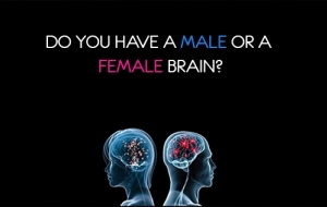 Do you have a male or a female brain?