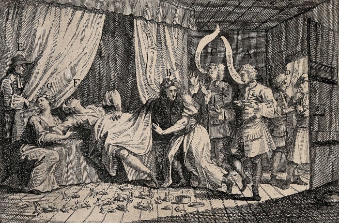 The Woman Who Gave Birth to Rabbits