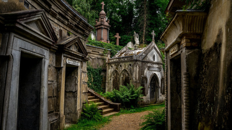 The Highgate Vampire