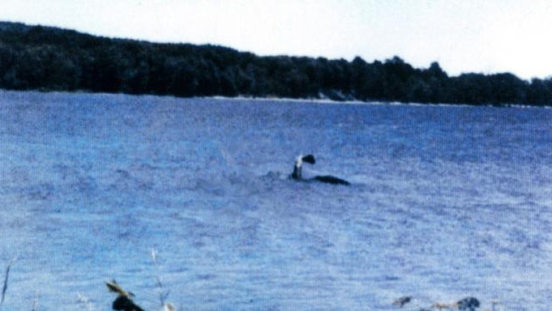 Champ's Tale: An Exploration into the Heart of Vermont's Mystique