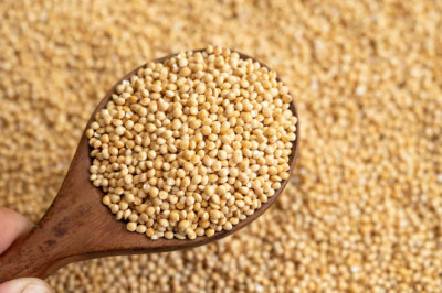 Amaranth: The Ancient Superfood That Defied Empires and Is Now Saving the Planet